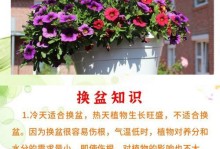 如何科学施用有机肥，提升花卉生长质量（有机肥施用技巧与注意事项）