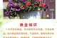 如何科学施用有机肥，提升花卉生长质量（有机肥施用技巧与注意事项）