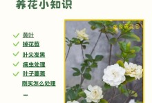 如何正确剪辑牡丹桅子开过花（打造美丽花园的秘诀，让牡丹桅子绽放新花期）