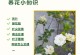 如何正确剪辑牡丹桅子开过花（打造美丽花园的秘诀，让牡丹桅子绽放新花期）