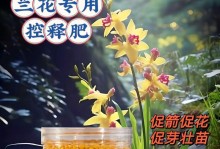 兰花施肥大全（兰花施肥技巧与注意事项）