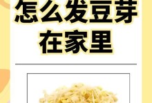 豆芽菜养殖技巧大揭秘（培养美味豆芽的关键是什么？）