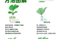 以水榕只剩下根怎么养（重拾绿意，恢复生机）