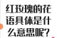 玫瑰花语大揭秘（26朵玫瑰的代表意义和传达的情感）