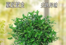 清香木冬天的栽种技巧（打造温暖冬日的花园美景）