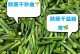 秋葵吃多了会上火吗？（科学解读秋葵的营养价值与食用注意事项）