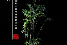 凤尾竹盆栽的养护指南（打造宜人室内绿色空间，让凤尾竹盆栽焕发生机）