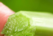 和芹菜长得很像的蔬菜有哪些？（探秘长得相似的几种蔬菜及其特点）