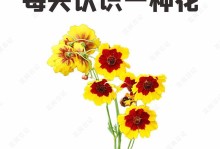 探究菊花花语之意义（寓意深刻，寄托情感）
