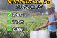 生姜肥料的选择与浇施技巧（选对肥料，助力生姜生长；掌握浇施技巧，增加产量）