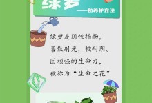 绿萝根部散了的原因及处理方法（绿萝根部散了的关键因素及恢复秘笈）