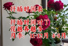 夏天过了蟹爪兰，何时扦插？（探讨蟹爪兰扦插的最佳时间和方法）