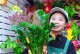 摇钱树的养殖与繁殖技巧（打造财富之源，掌握摇钱树的关键养殖技巧）
