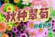 翠菊养护指南（了解翠菊的特性与养护技巧，让您的花坛焕发生机）