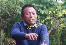 迎春养粗，守护美丽人生（以迎春养粗，让自己更加美丽、健康和自信！）