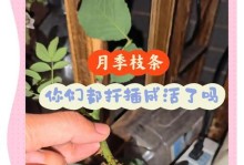 玻璃海棠的扦插方法（快速繁殖优美玻璃海棠的技巧与步骤）