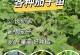 茄子是一种多年生植物吗？（探究茄子的生长习性和品种特点）