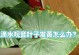 滴水观音叶子小的养护与利用（掌握滴水观音叶子小的养护技巧，打造绿色家居环境）