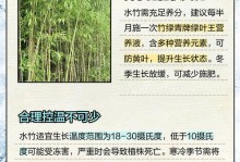 以水竹繁育的种植技巧（水竹繁育方法及关键技术）