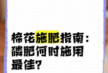 棉花施肥之最佳选择（探讨不同肥料对棉花生长的影响）