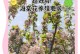 海棠花叶子干了怎么办？（解决海棠花叶子干枯问题的有效方法）