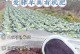 农家肥的施肥方法（科学利用农家肥提高农作物产量）