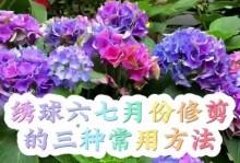 夏季绣球花如何修剪以促使秋季开花（细节指南、关键技巧和正确时机）