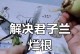 以君子兰烂了心和根——如何处理？（君子兰养护秘籍，修复受损心灵与根系的方法）