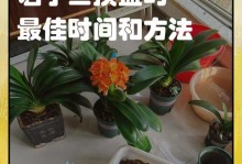以君子兰为主题的土壤更换技巧（打造健康君子兰的土壤秘籍）