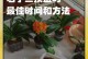 以君子兰为主题的土壤更换技巧（打造健康君子兰的土壤秘籍）