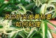 怎样解决吊兰叶尖发黑问题？（掌握正确的养护技巧，让吊兰常青常美）