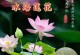 水培荷花的养殖方法（简单有效的水培技巧，让你轻松养活荷花）