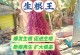 探讨以新扦插的肉肉是否能浇生根粉水（有效促进植物生根的方法探索及实验结果分析）