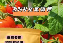 番茄肥料施用技巧（选对肥料，促进丰收）