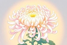 菊花之精神（菊花的意义与象征及其对人们的启示）