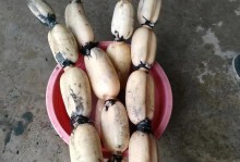 莲藕的生长特征及营养价值（探究莲藕的形态、生长习性、食用价值和药用效果）