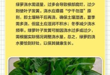 绿萝泡水烂的原因及预防方法（探究绿萝泡水烂的根本原因，为你提供有效的预防方法）