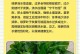 绿萝泡水烂的原因及预防方法（探究绿萝泡水烂的根本原因，为你提供有效的预防方法）