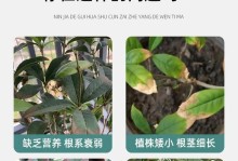 探讨树枝干的处理方法（保护环境，利用树枝干的资源）