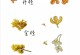 探究丹桂四季开花之谜（丹桂的开花时间、影响因素及生长环境）