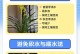 冬季兰花换盆与浇水技巧（为您揭秘冬季兰花换盆后的浇水要点）