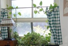 在屋里设计以绿萝为主题的创意空间（打造清新自然的绿植天堂）