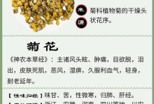 菊花的花语与象征意义（揭开菊花的隐含信息）