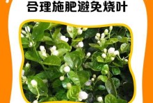花叶上的油污如何处理（有效清除花叶上的油污，保护植物健康）