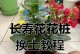 长寿花开完花的换盆技巧（打造健康长寿花的关键步骤及注意事项）