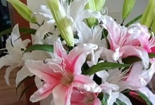在家种百合花，让家园更美丽（百合花的品种、栽培方法及注意事项）
