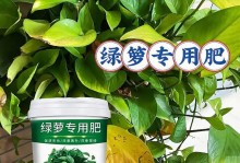 绿萝花叶子发黄的原因及治疗方法（解析绿萝花叶子发黄的原因，探讨有效的治疗方法）