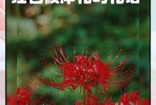 永不再见——一篇探讨花语的文章（以什么花的花语为例？令人难忘的告别语）