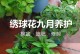 如何养护花叶绣球（让花叶绣球长久健康生长的关键）