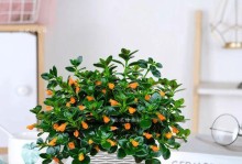 金鱼花能否在冬季开花？（探究金鱼花的生长特点及环境要求）